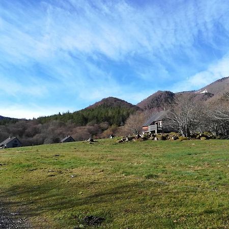Les Chalets De La Foret D'Issaux Osse-en-Aspe Bagian luar foto