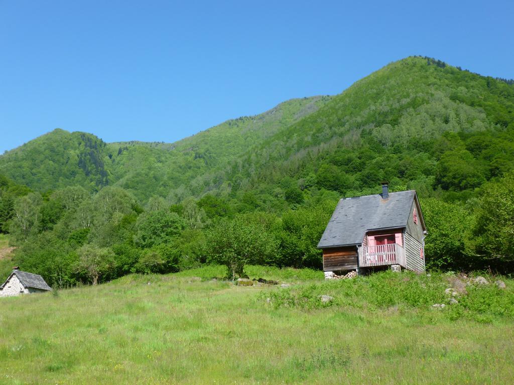 Les Chalets De La Foret D'Issaux Osse-en-Aspe Bagian luar foto