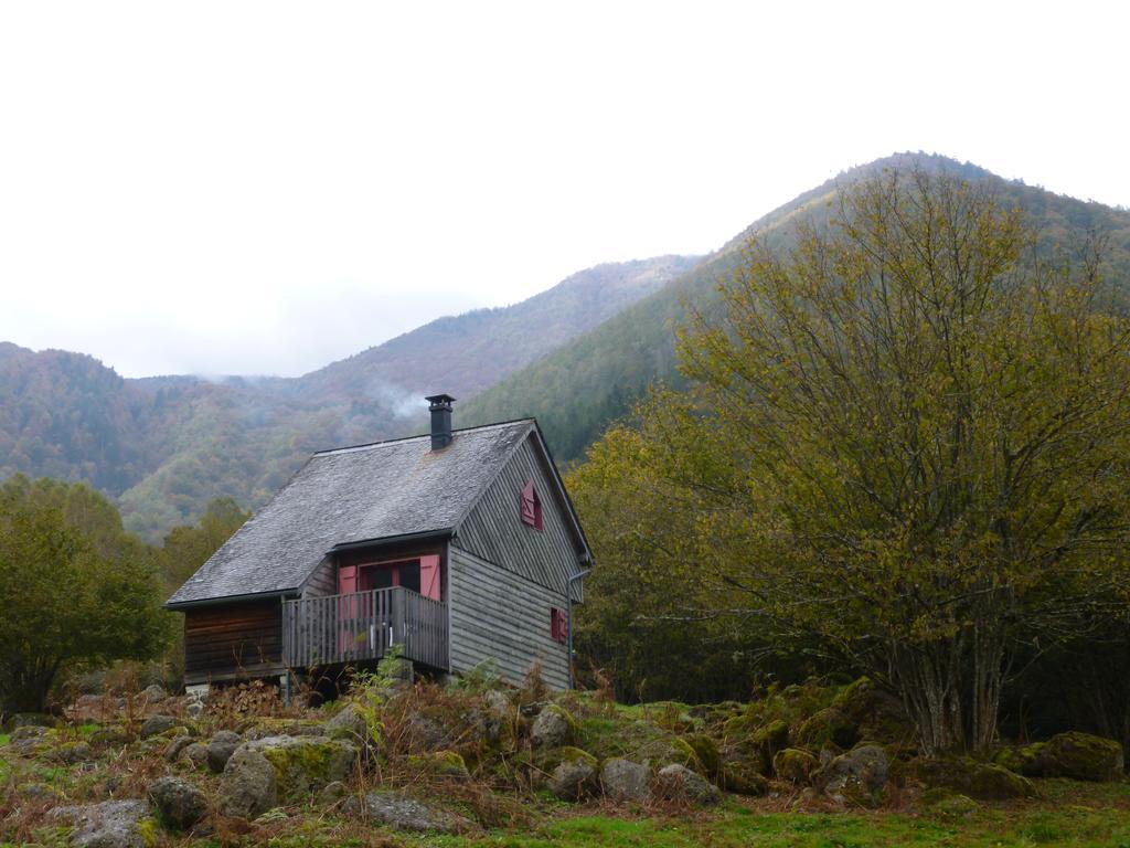 Les Chalets De La Foret D'Issaux Osse-en-Aspe Bagian luar foto