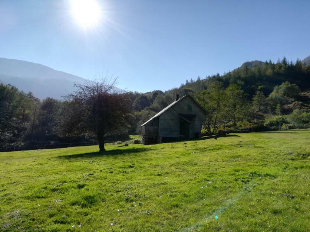 Les Chalets De La Foret D'Issaux Osse-en-Aspe Bagian luar foto