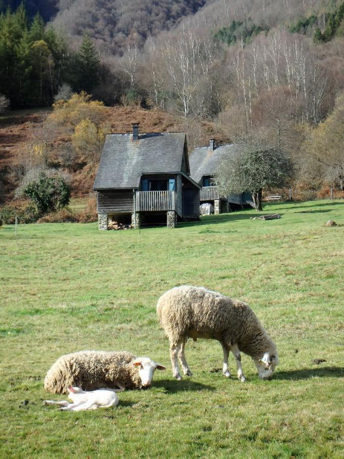 Les Chalets De La Foret D'Issaux Osse-en-Aspe Bagian luar foto